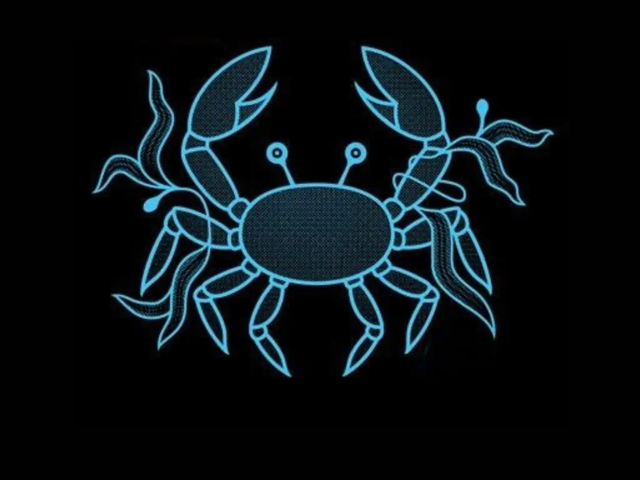 కర్కాటక రాశి