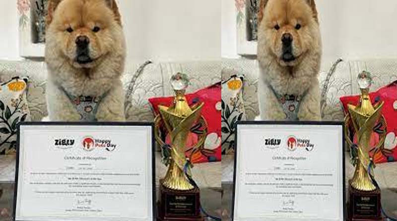 Jigli celebrated "International Happy Pets Day" on 4th August across India