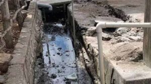 గుర్లలో డయేరియాపై నివేదిక