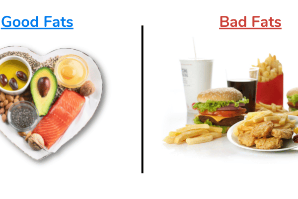 Good-Fat-Vs-Bad-Fat