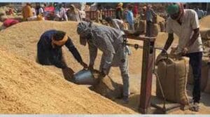 ఈనెల 27 నుంచి ధాన్యం కొనుగోళ్లు – మంత్రి నాదెండ్ల మనోహర్