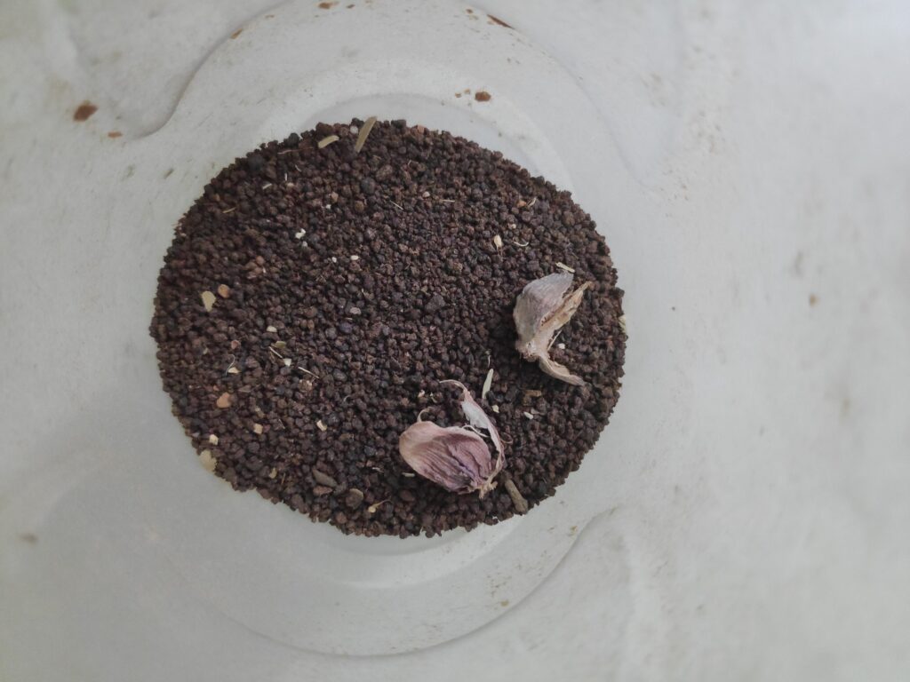 వాడిన టీ పొడి వల్ల అనేక ప్రయోజనాలు