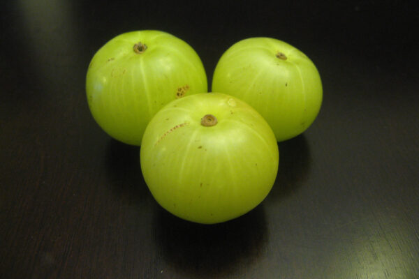 amla fruit