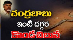 చంద్రబాబు ఇంటివద్ద భారీ పాము..కలకలం