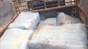 రోడ్డు ప్రమాదంలో గంజాయి సరఫరా గుట్టు రట్టు