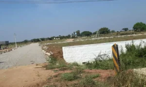 గుంటూరు కార్పొరేషన్ పరిధిలో 40 వరకు అక్రమ లేఅవుట్లు