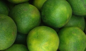 మోసంబీ పండు: ఆరోగ్యానికి మేలు చేకూర్చే చిట్కాలు మరియు అపాయాలు