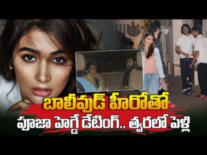 బాలీవుడ్ సీరియల్ నటుడి ప్రేమలో పూజా హెగ్డే