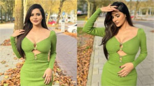 బోల్డ్ ఫోటో షూట్‌తో కుర్రకారుకు పిచ్చెక్కిస్తుంది అషు రెడ్డి