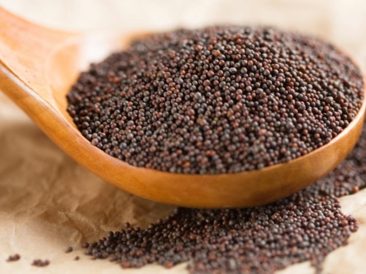 Benefitsof Mustard Seeds