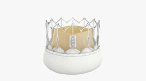 లండన్ వాల్వ్స్ 2024 వద్ద మెరిసిన ఇండియా..