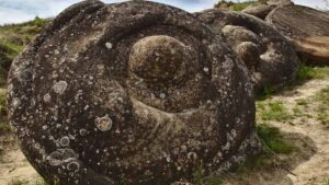 నీటిని పీల్చుకునే ‘ట్రోవాంట్స్’ రాళ్లు ఉన్నాయనే సంగతి తెలుసా..?