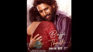 బుజ్జితల్లి వచ్చేస్తుంది