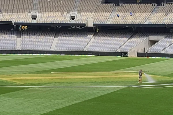 ind vs aus perth pitch repo