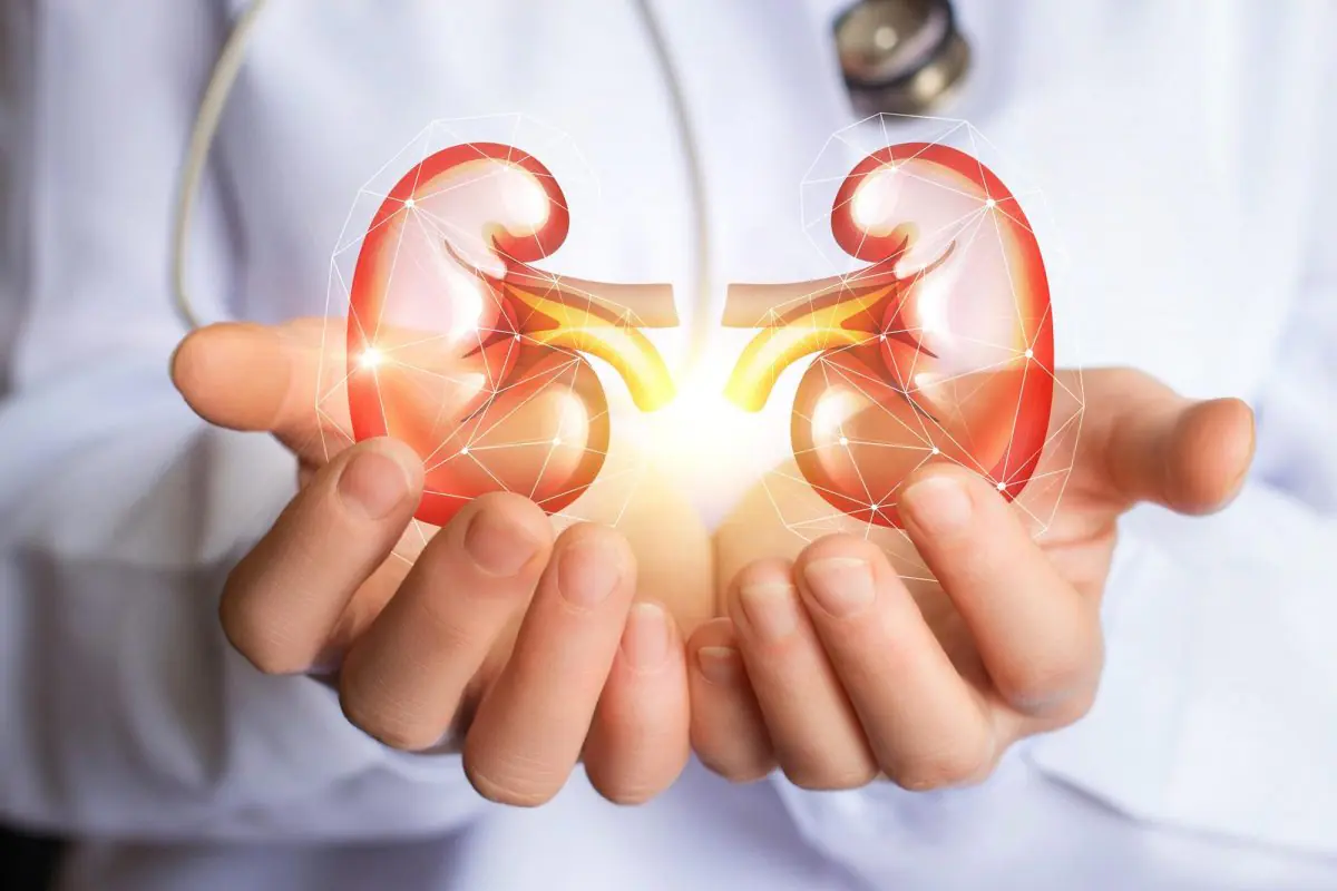 kidney health