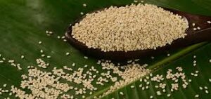 నువ్వులు హృదయానికి మరియు బరువు తగ్గడంలో సహాయపడతాయా?