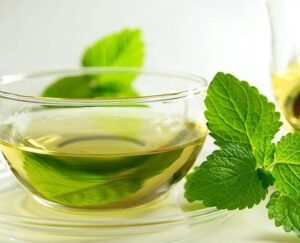 ప్రతిరోజూ తులసి నీళ్లను తాగి ఆరోగ్యంగా ఉండండి