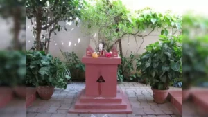 ఉత్పన్న ఏకాదశి రోజు తులసీ దేవికి ఇవి సమర్పిస్తే అదృష్టం మీ తలుపుతట్టుతుంది!