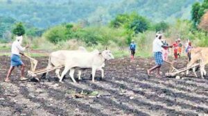 పోడు రైతులకు డిప్యూటీ సీఎం భట్టి గుడ్ న్యూస్