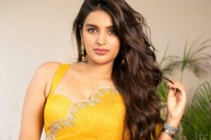 విజయం కోసం ఎదురు చూస్తున్న నిధి అగర్వాల్