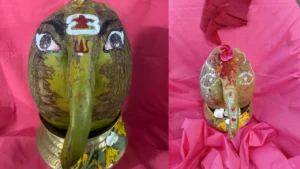 కొబ్బరికాయ కాదు.. సాక్షాత్తు వినాయకుడే !