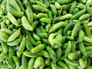 దొండకాయ మిస్ చేయడం వల్ల ఆరోగ్య ప్రయోజనాలను కోల్పోతున్నారా?