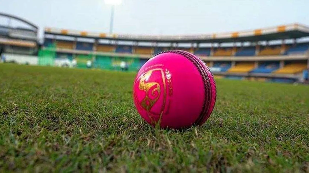 ind vs aus pink ball test