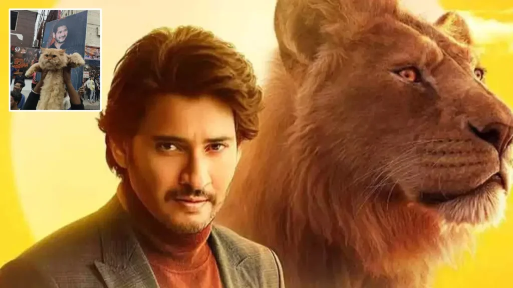 మహేష్ బాబు ఫ్యాన్స్ హంగామా?