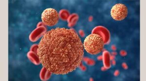 నెల్లూరు జిల్లాలో జికా కలకలం