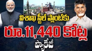 విశాఖ ఉక్కు పరిశ్రమకు రూ.11,440 కోట్ల : కేంద్రం