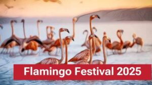 నేటి నుంచి ఏపీలో ఫ్లెమింగో ఫెస్టివల్