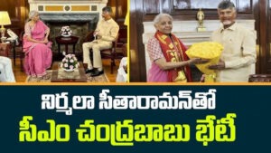 కేంద్ర‌మంత్రి నిర్మలా సీతారామ‌న్‌తో చంద్ర‌బాబు భేటీ