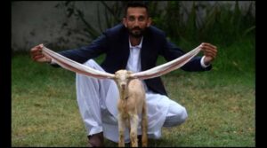 వామ్మో.. మేక ఖరీదు అన్ని లక్షలా..? ఏంటో అంత ప్రత్యేకం