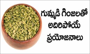 గుమ్మడి గింజలతో ఎంతో ఆరోగ్యం..ఇది మీకు తెలుసా..?
