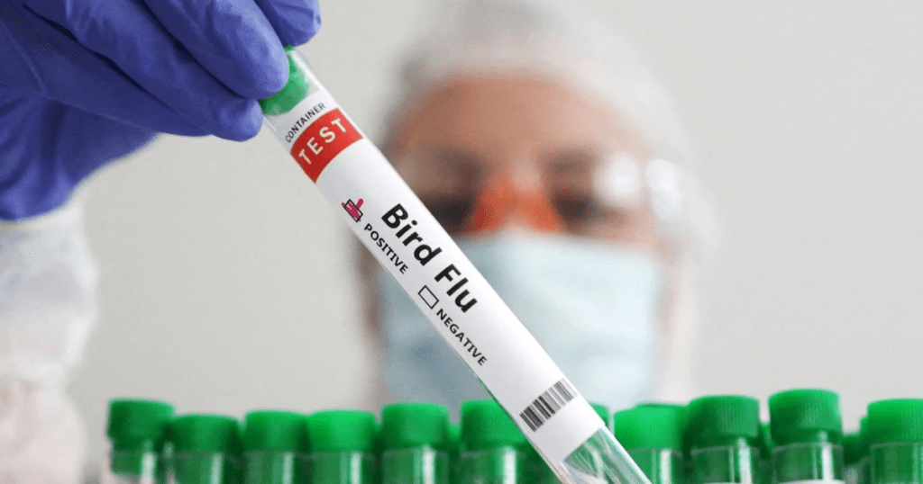 అమెరికాలో బర్డ్ ఫ్లూతో తొలి మరణం