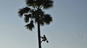 గీత కులాలకు ఏపీ సర్కార్ తీపి కబురు