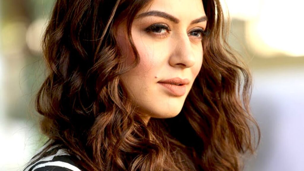 హన్సిక పై గృహహింస కేసు..