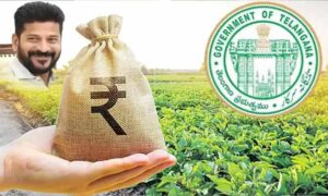 రైతు భరోసా విధివిధానాలు ఖరారైనట్లేనా..?