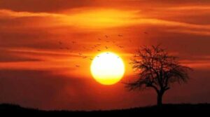 ఉత్తరాయణంలోకి సూర్యుడు