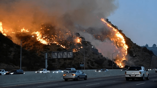 los angeles hollywood houses fire