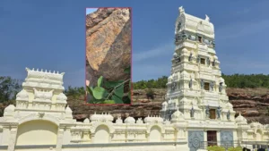 ఆ ప్రాంతానికి కాకి అన్నదే రాదు రాములవారి శాప ఫలితం