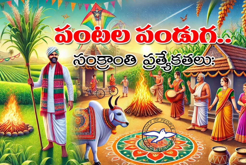 పంటల పండుగ.. సంక్రాంతి!