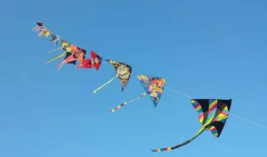 గాలిపటాలు ఎగురవేయవద్దు: డిస్కం