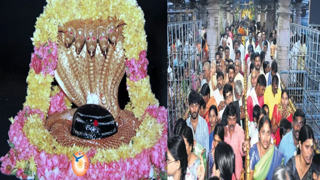 శ్రీశైలంలో భక్తుల రద్దీతో సందడి ప్రత్యేక ఏర్పాట్లు