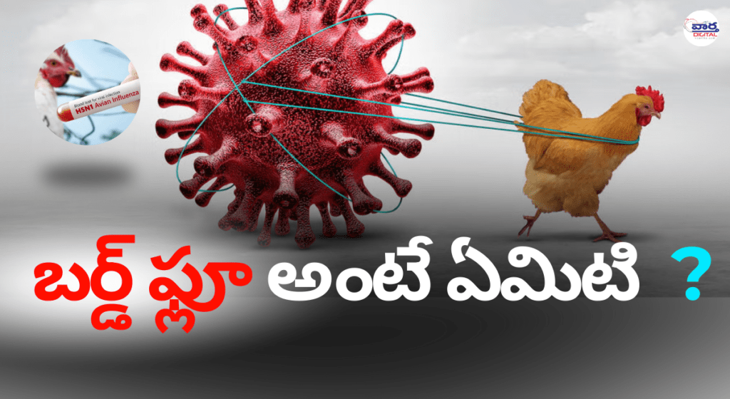 బర్డ్ ఫ్లూ అంటే ఏమిటి ?