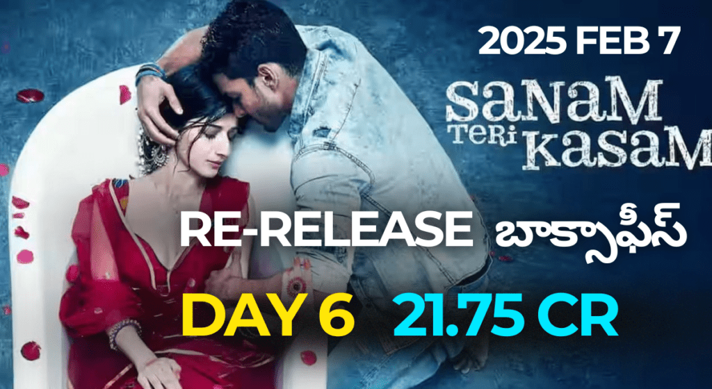 సనమ్ తేరీ కసమ్ – 8 కోట్ల వసూళ్లు.. ఓ చిన్న సినిమా సెన్సేషన్!