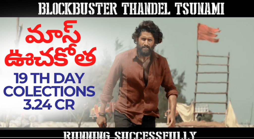 నాగ చైతన్య తండేల్ స్ట్రాంగ్ రన్ – 19వ రోజు కలెక్షన్స్ ఎంత?