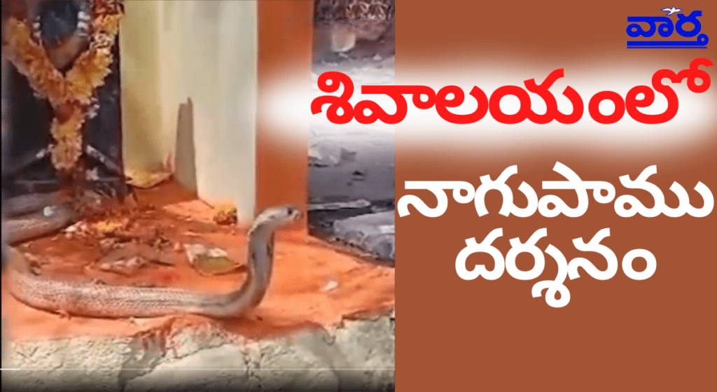 పెద్దపల్లి శివాలయంలో నాగదేవత విగ్రహం వద్ద నాగుపాము దర్శనం – భక్తుల ఉత్సాహం