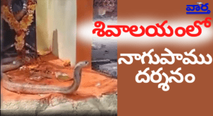 పెద్దపల్లి శివాలయంలో నాగదేవత విగ్రహం వద్ద నాగుపాము దర్శనం – భక్తుల ఉత్సాహం