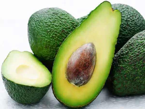 Sixty medicinal properties of avocado